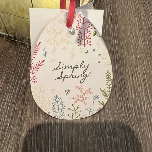 Adorable Baby Chicks in Cage- NWT - Picture 3 of 4